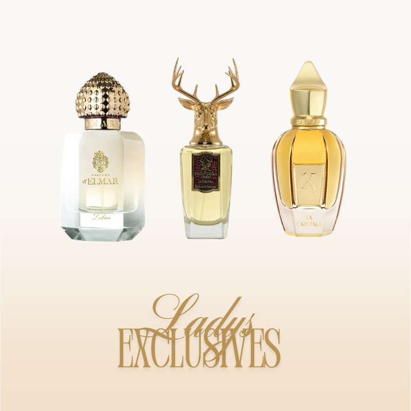 LADYS EXCLUSIVES