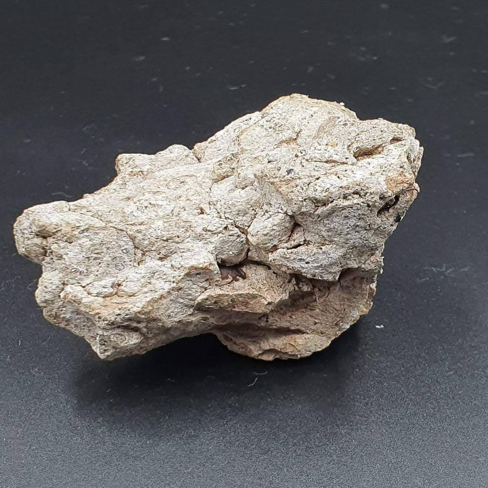 AMBERGRIS
