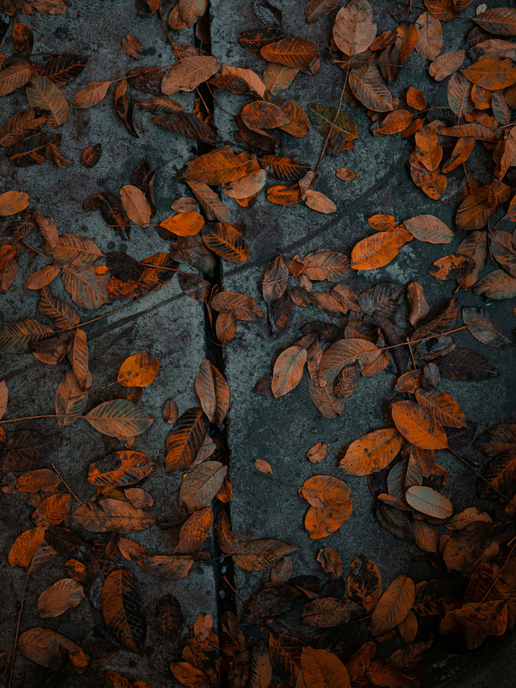Top Herbst Düfte