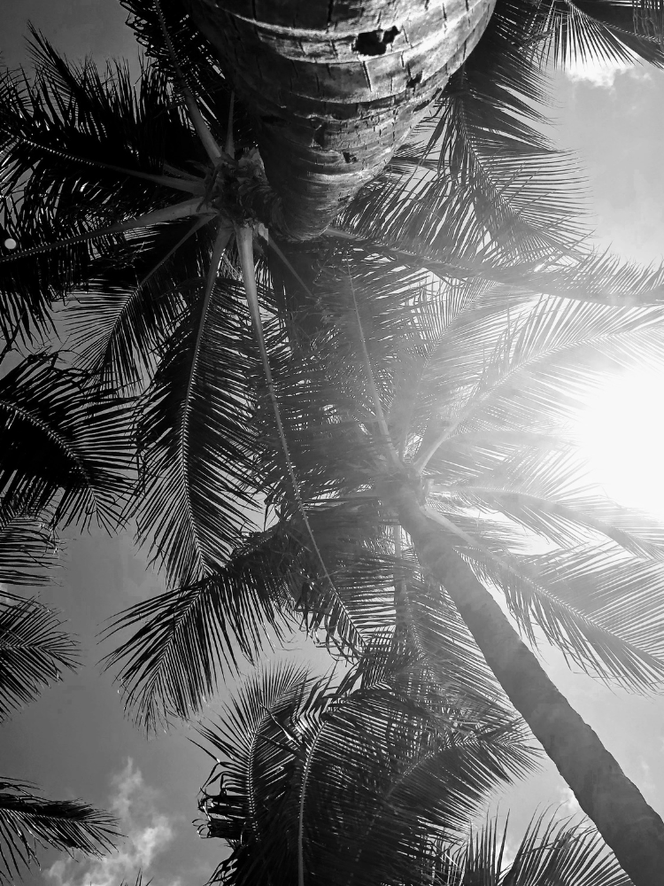 Top Sommer Düfte 